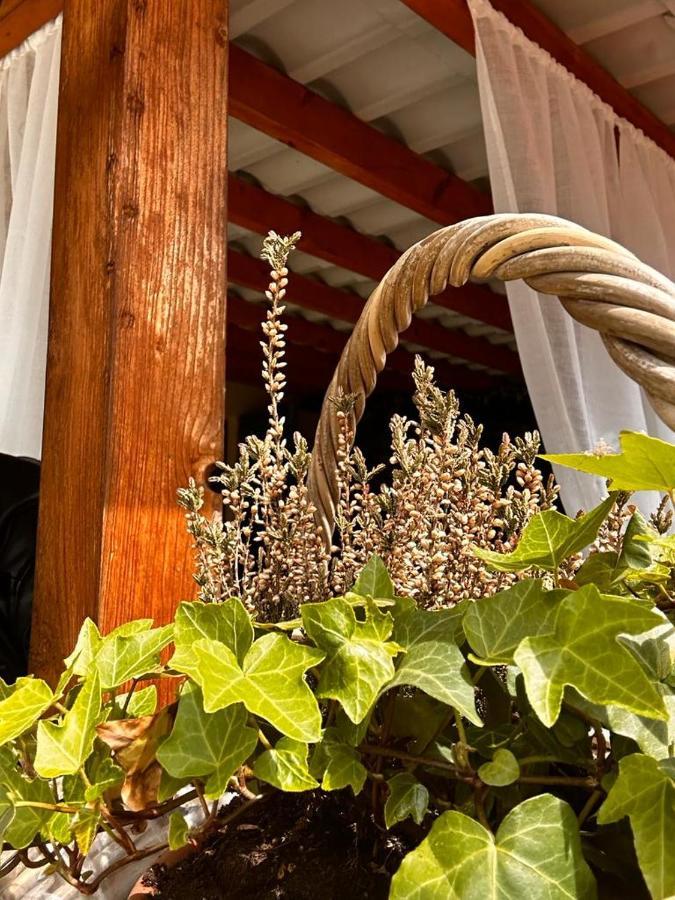 Bon Bon Del Corso Con Terrazzo E Aria Condizionata Διαμέρισμα Άστι Εξωτερικό φωτογραφία
